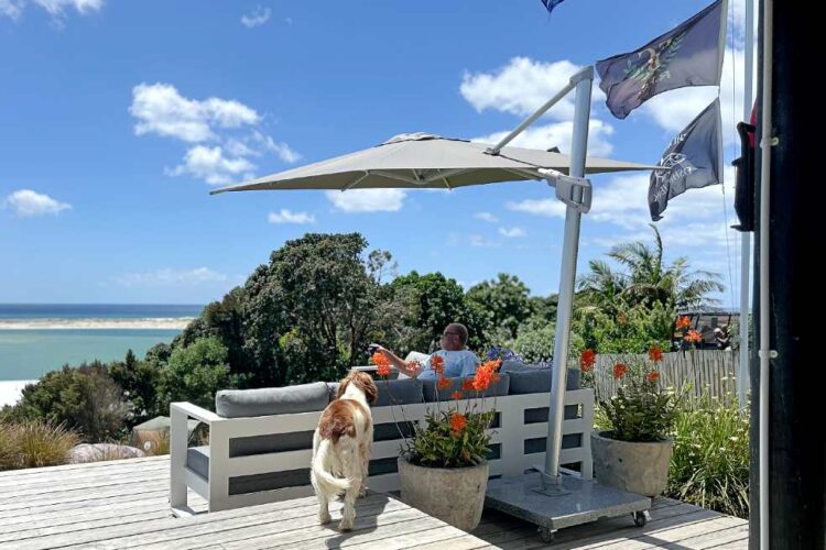 best value for money cantilever umbrella